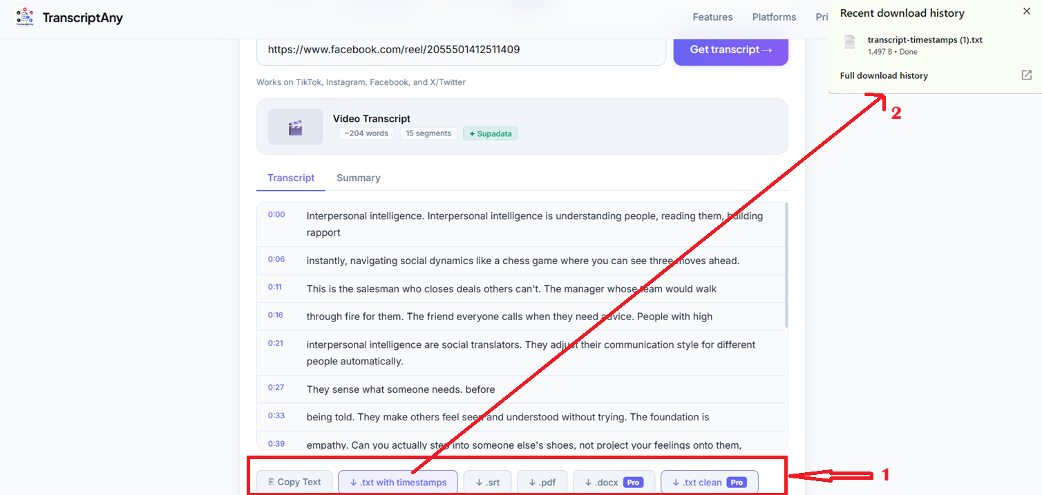TranscriptAny download options including the .srt subtitle file export