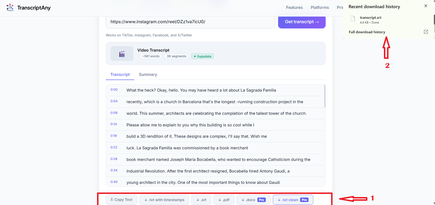 Instagram Reel transcript download options including .srt, .pdf, and .docx