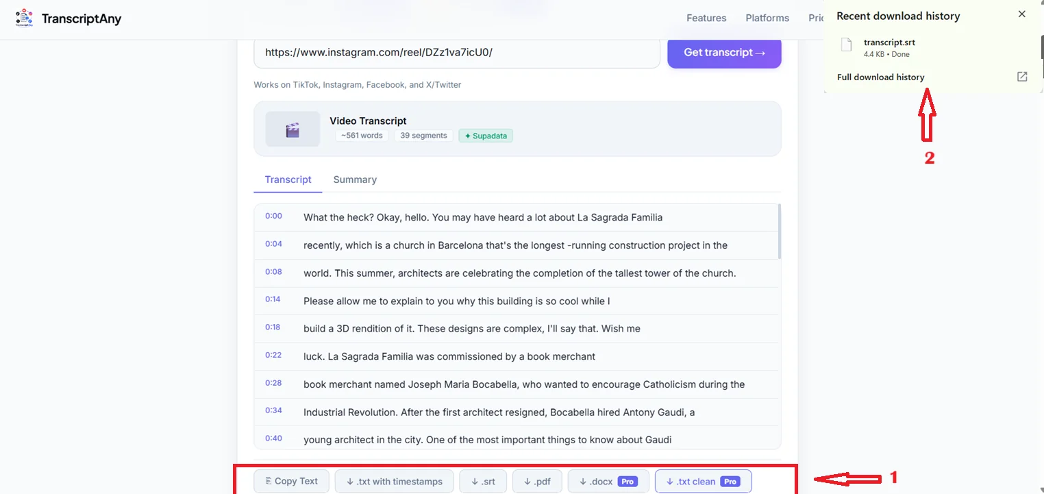 Instagram Reel transcript download options including .srt, .pdf, and .docx