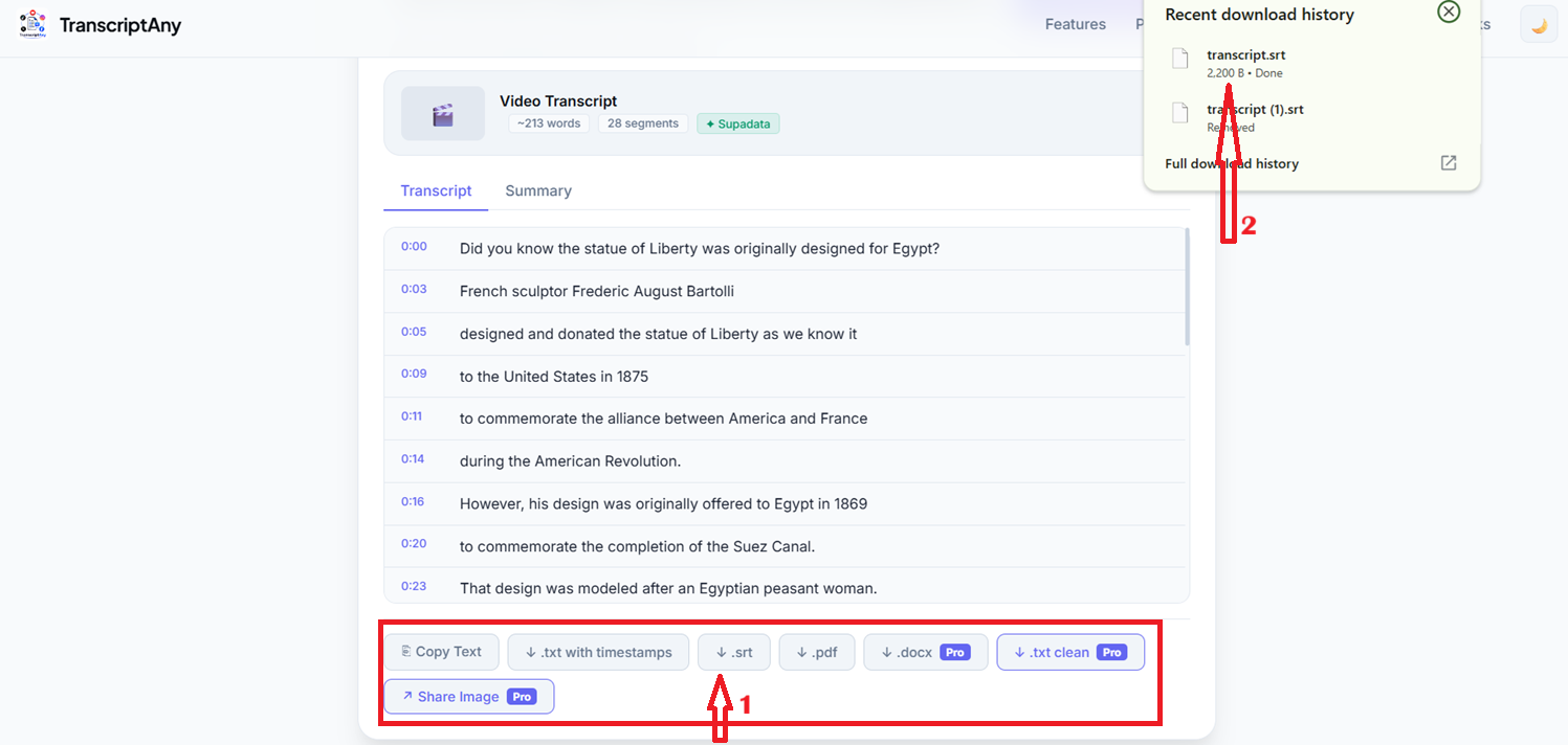 TikTok transcript download options including .srt, .pdf, and .docx