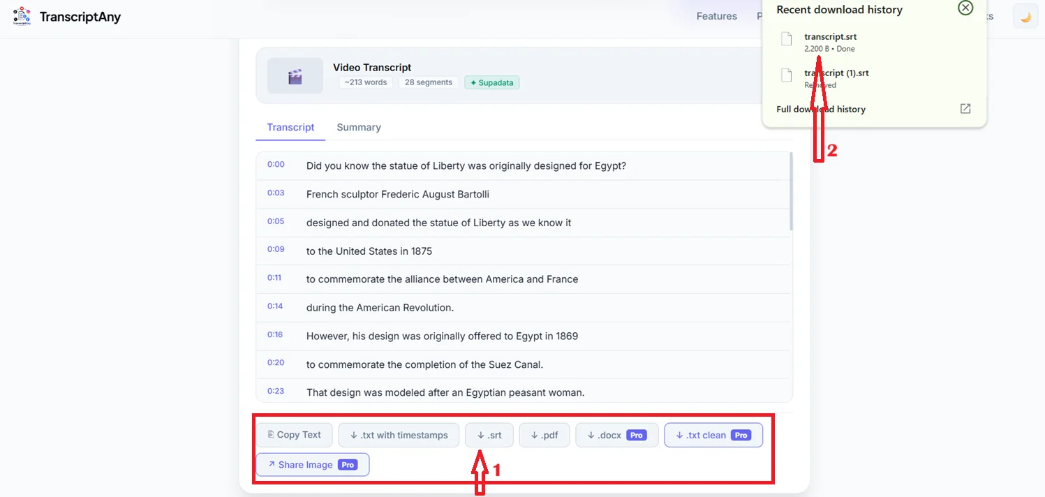 TikTok transcript download options including .srt, .pdf, and .docx